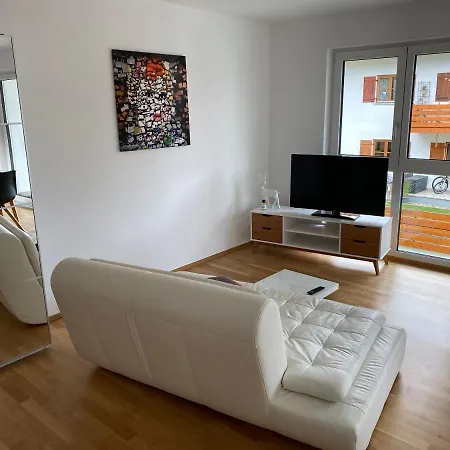 Einzimmer Ferienwohnung Mitten In Apartment Scheidegg